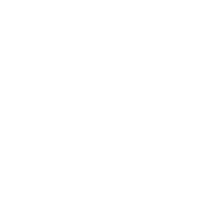 Planes Dental Arts